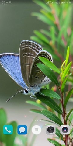 Красивые Летние HD Обои для Android — скриншот 1