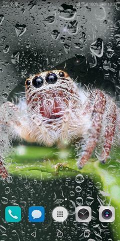 Красивые Летние HD Обои для Android — скриншот 4