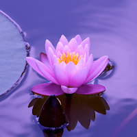 Красивые Летние HD Обои для Android