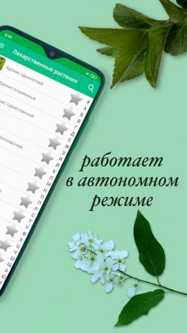 Лекарственные растения для Android — скриншот 2