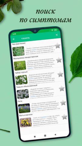 Лекарственные растения для Android — скриншот 3