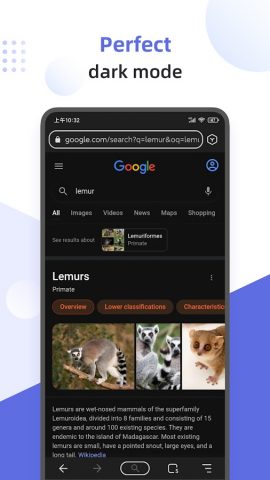 Lemur Browser — Extensions — скриншот 1