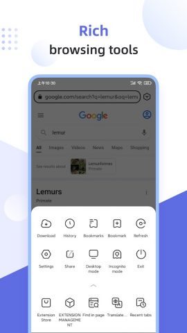 Lemur Browser — Extensions — скриншот 4