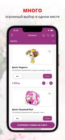 Лима-РБ | Россия для iOS — скриншот 1