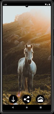 Лошади обои для Android — скриншот 2