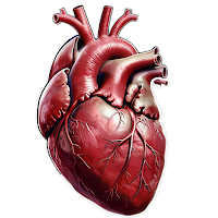 Масса миокарда для Android