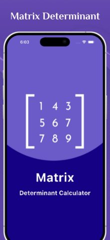 Matrix Determinant Calculator для iOS — скриншот 1