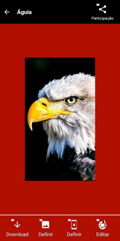 Papel de parede do Corinthians для Android — скриншот 4