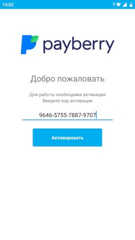PayBerry Бизнес — скриншот 1
