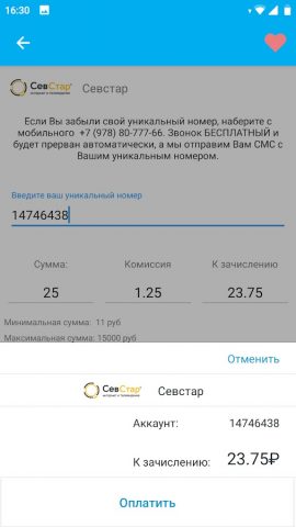PayBerry Бизнес — скриншот 5