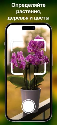 PlantAI Определитель растений для iOS — скриншот 2