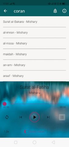 Quran for sleeping & relaxing для Android — скриншот 4
