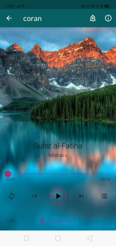 Quran for sleeping & relaxing для Android — скриншот 5