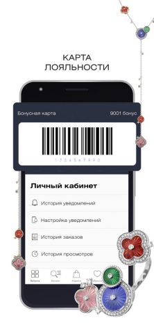 RS1912 РУССКИЕ САМОЦВЕТЫ для iOS — скриншот 5