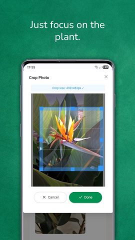 Распознавание растений для Android — скриншот 3