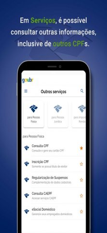 Receita Federal для iOS — скриншот 3
