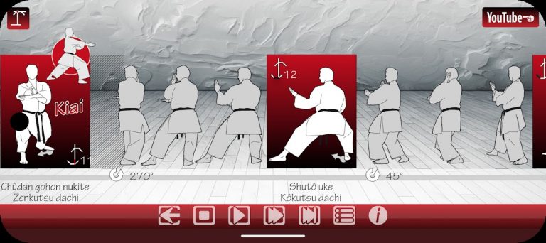 ShotokanKata для Android — скриншот 5