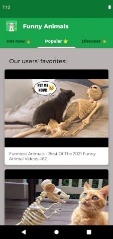 Смешные Видео С Животными для Android — скриншот 3