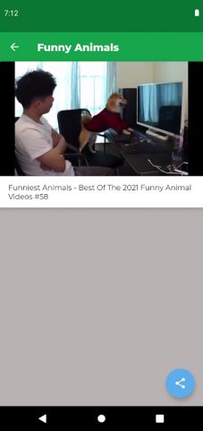 Смешные Видео С Животными для Android — скриншот 4