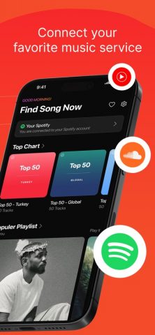Song Finder : Music Identifier для iOS — скриншот 2