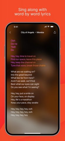Song Finder : Music Identifier для iOS — скриншот 4