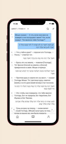 ТОРА для iOS — скриншот 4