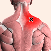 Trigger point — Body для iOS