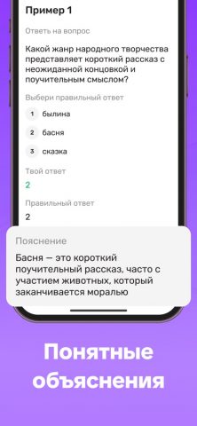 ВПР 4 и 5 класс для iOS — скриншот 4