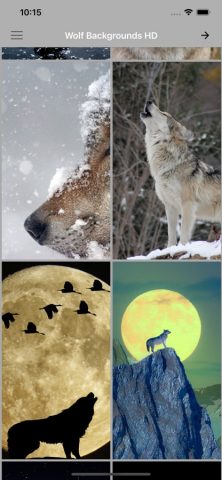 Волк Фоны HD для iOS — скриншот 1