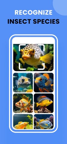 Web Searching & Picture Cross для iOS — скриншот 2