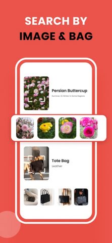 Web Searching & Picture Cross для iOS — скриншот 4