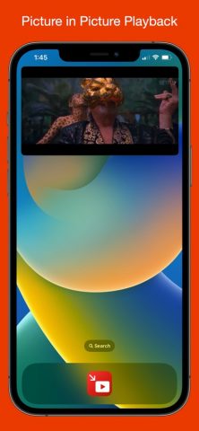 YubePiP: PiP Video Player для iOS — скриншот 3