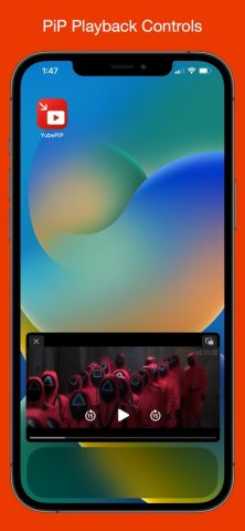 YubePiP: PiP Video Player для iOS — скриншот 4