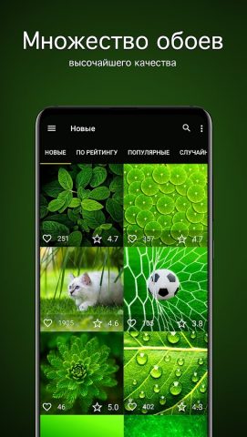 Зелёные обои от 7Fon для Android — скриншот 2
