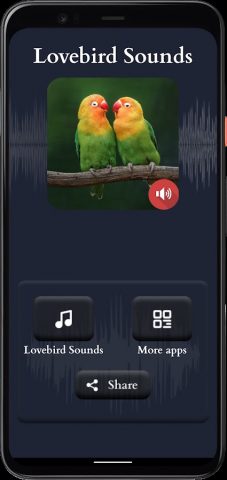 Звуки неразлучников для Android — скриншот 1