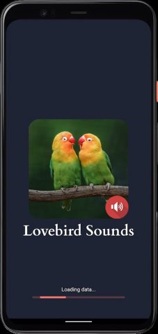 Звуки неразлучников для Android — скриншот 4