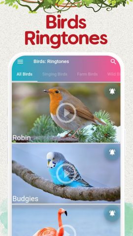 птицы рингтоны и песни для Android — скриншот 1