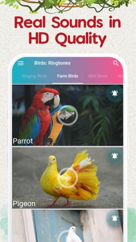 птицы рингтоны и песни для Android — скриншот 3