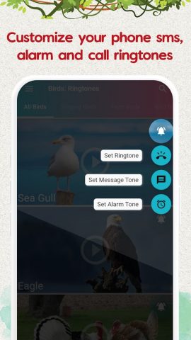 птицы рингтоны и песни для Android — скриншот 5