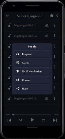 соловей звуки птиц для Android — скриншот 3