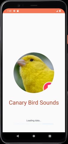 звуки канареек для Android — скриншот 1