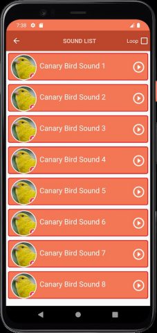 звуки канареек для Android — скриншот 3