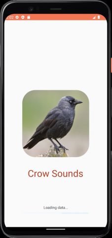 звуки вороны для Android — скриншот 1