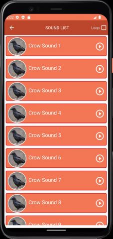звуки вороны для Android — скриншот 3