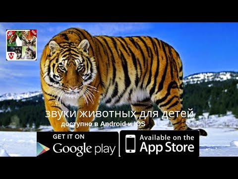 150 звуки животных для Android — официальный трейлер