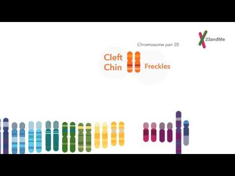 23andMe — DNA Testing для Android — официальный трейлер