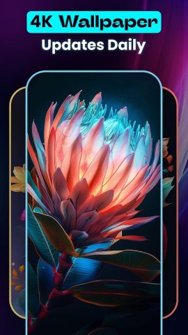 4K обои, живые обои телефон для Android — скриншот 3