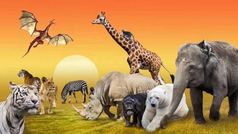 🐾 Жить лапами: лучшие симуляторы животных, в которые хочется возвращаться