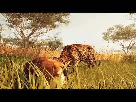 Animalia survival для Android — официальный трейлер