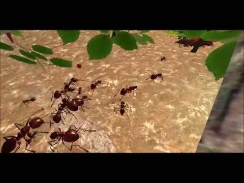 Ant Simulation 3D для Android — официальный трейлер